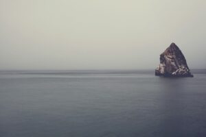 Reasons to Bring Your Family Along on a Business Trip
